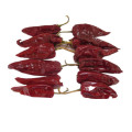 Top-Qualität getrockneter roter Chili ganz für Lebensmittelzusatzstoffe (kostenlose Proben)